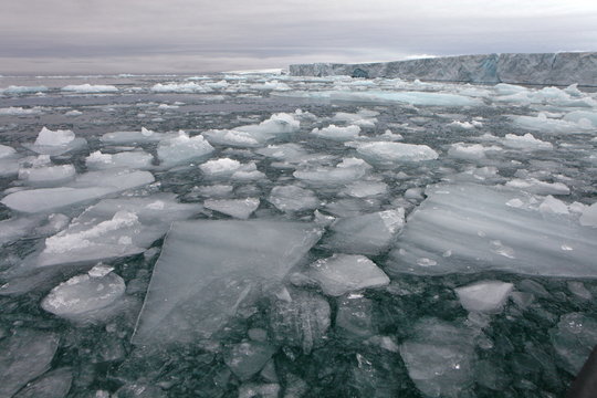 Arctic glacier
 