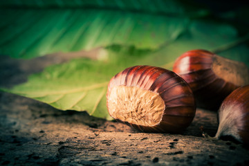 castagne