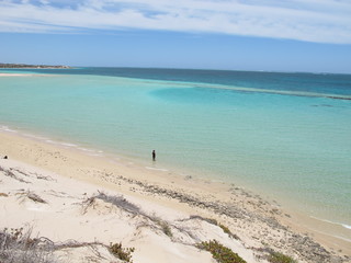 Obraz premium Coral Bay, Western Australia