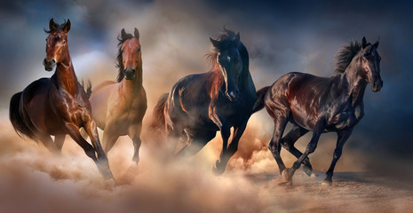 Fototapeta na wymiar Horse herd run in desert sand storm against dramatic sky