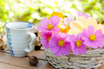coffee break with cosmos flowers in autumn