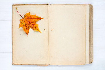 Open book and autumn  leaf