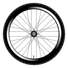 bicycle wheel