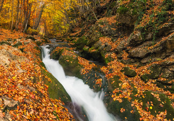 Waterfall in autumn canyon. Natural landscape