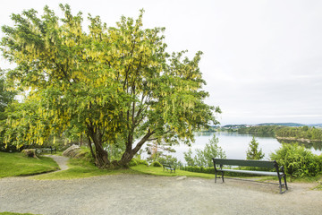 Troldhaugen. View on the lake, where is located the manor of Edvard Grieg.