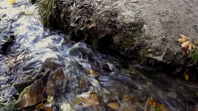 a rapid stream near the lake in autumn