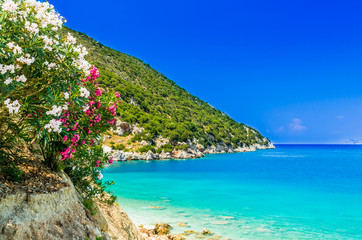 Fototapeta na wymiar Vouti beach, Kefalonia island, Greece. People relaxing at the beach. The beach is surrounded by flowers.