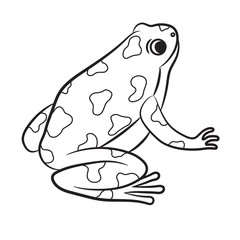 Outlined Poison-Dart Frog. Vector
