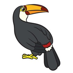 Naklejka premium Toucan bird illustration. Vector 