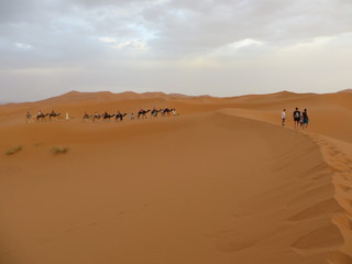 Fototapeta na wymiar Erg Chebbi, Marokko, Sanddünen