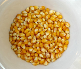 Popcorn texture