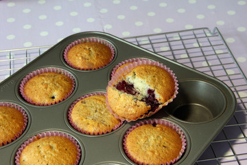 muffin cooked in tray
