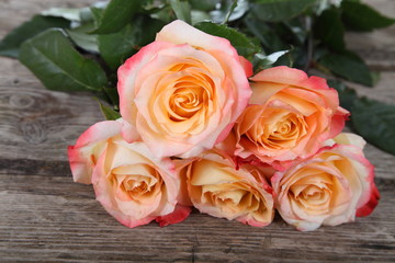 Beautiful pink roses
