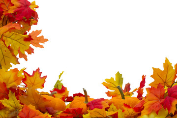 Autumn Leaves and Pumpkins Background