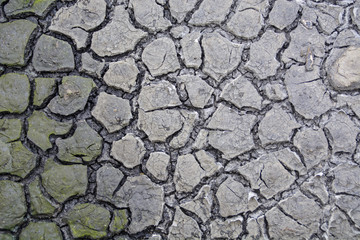 Cracked mud texture