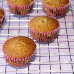 muffin cooked