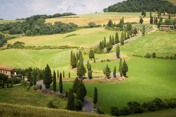 Obraz premium Twisty cypress road, green landscape at sunset, Tuscany, Italy 