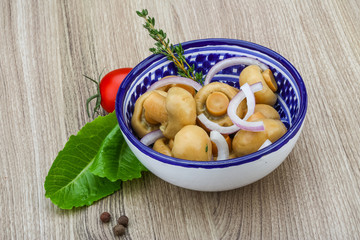 Pickled champignon