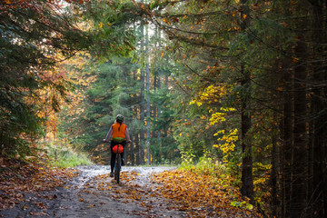 Fototapeta premium Mountain biker in autumn forest