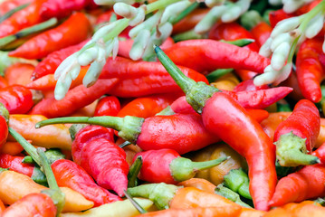 guinea-pepper
