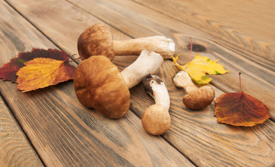 boletus mushrooms with autumn leaves  on a wooden background