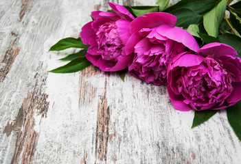 Pink peony