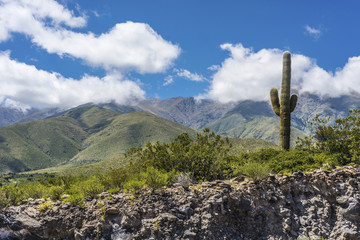 Calchaqui Valley in Tucuman, Argentina