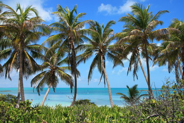Naklejka premium Messico, Cancun, Contoy e Isla Mujeres
