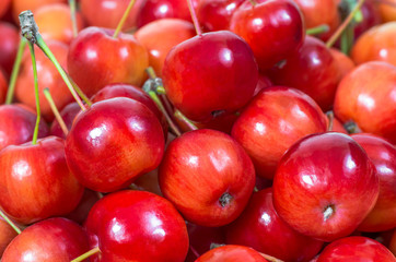 Very beautiful red paradise apples
