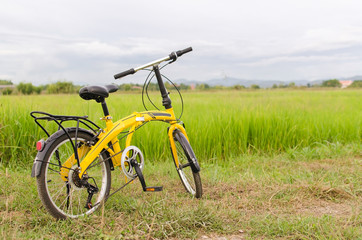 Fototapeta na wymiar yellow bicycle in green filed.