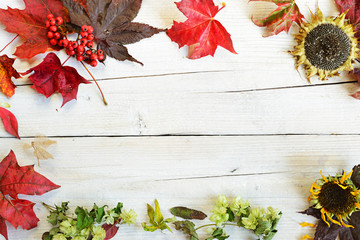 cornice autunnale sfondo