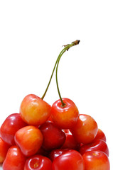 

Cherries

       

cherries