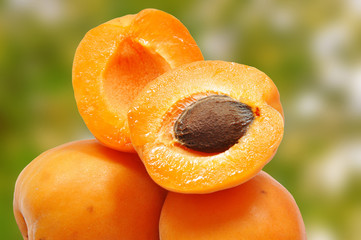 apricots on a green background