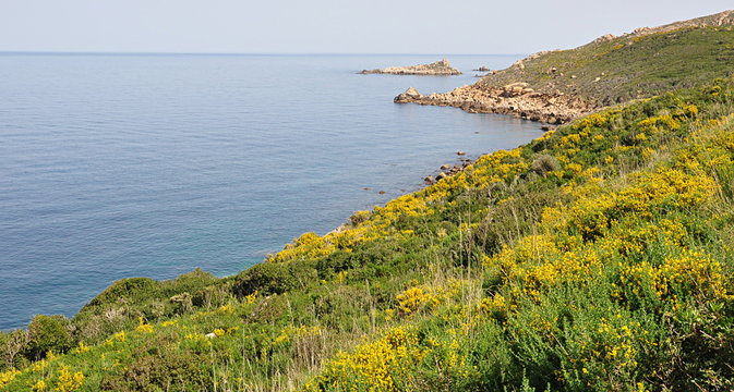 algerie littoral
