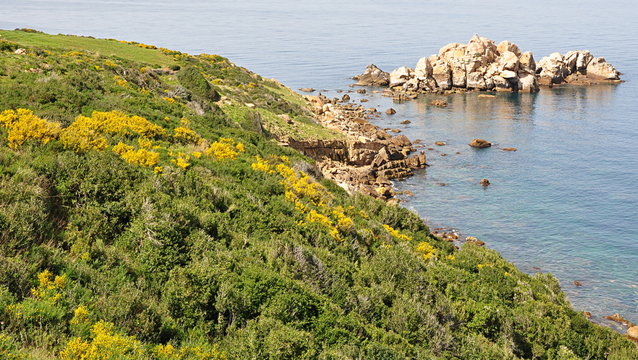 algerie littoral