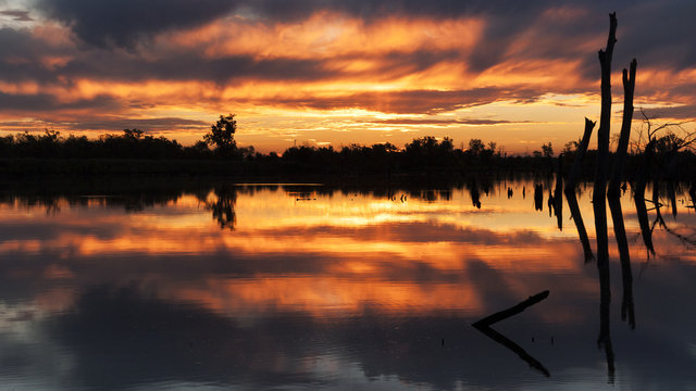 Sunset At A Wetlands Conservation Area