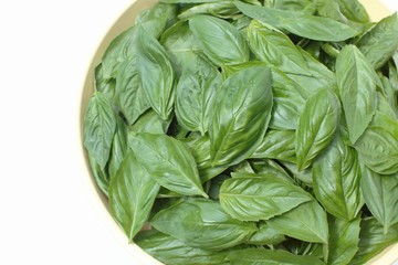 収穫したバジル