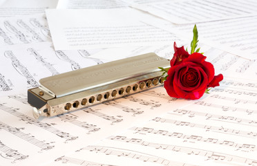 Harmonica met rode roos
