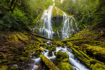 Foto op Plexiglas Beautiful Proxy falls in mist, Oregon © kanonsky