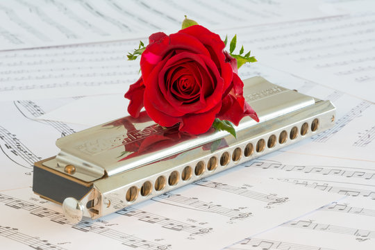 Harmonica met rode roos