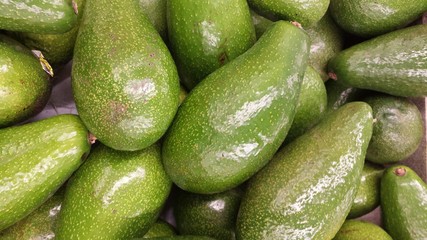 Avocado
