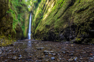 Fototapeta premium Beautiful nature in Oneonta Gorge trail, Oregon.
