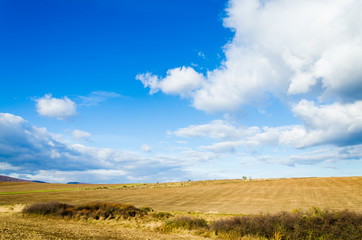Fototapeta na wymiar brown field and blue sky