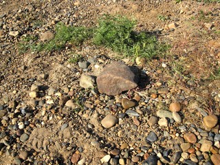 stones