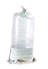 fish in plastic bag