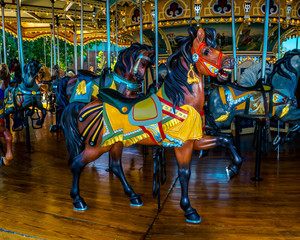Fototapeta na wymiar Horse Carousel NYC 10