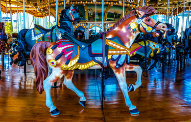 Fototapeta na wymiar Horse Carousel NYC 8