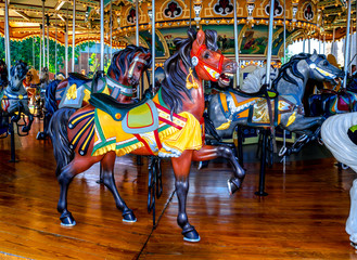 Horse Carousel NYC 7
