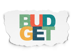 Currency concept: Budget on Torn Paper background