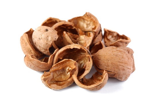 Walnut shell